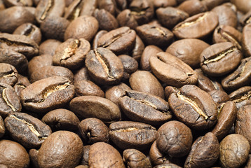 Roasted coffee beans closeup