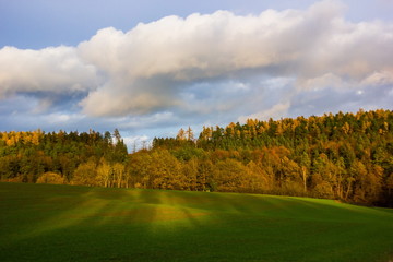 Autumn field and forest in Czech Republic.