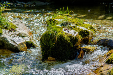 Bach mit schnell fließendem klarem Wasser