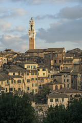 Fototapeta premium Siena, Italy