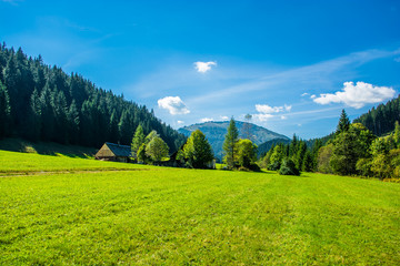 Einsamer Bauernhof in waldigem Tal in Österreich