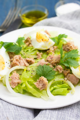 fish salad on white plate