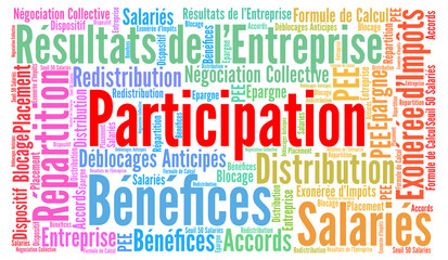 Fototapeta premium Participation aux bénéfices de l'entreprise nuage de mots