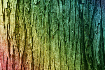 colorful background, bark