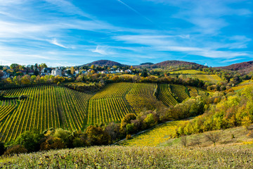 Fototapeta na wymiar Siedlung mit Häusern am Weinberg im Herbst in Österreich
