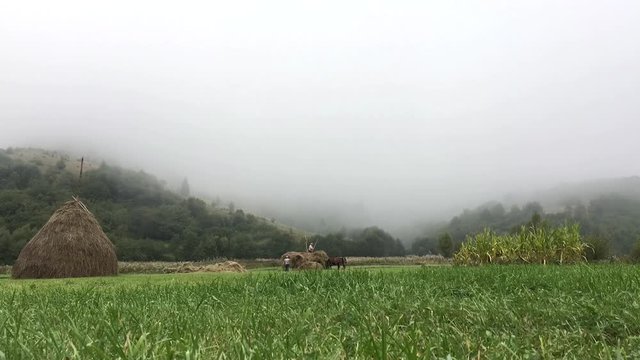 รูปภาพHay-Wagon – เลือกดูภาพถ่ายสต็อก เวกเตอร์ และวิดีโอ27 | Adobe Stock