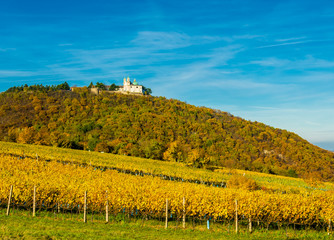Fototapeta na wymiar Burg mit Kirche auf Berg mit Weingarten in Herbst