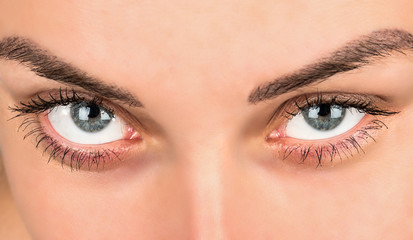 Obraz premium Female beautiful eyes