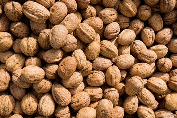 Walnut background