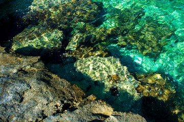 Klares Grünes Wasser an der Küste von Kroatien