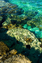 Fototapeta na wymiar Klares Grünes Wasser an der Küste von Kroatien