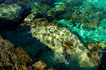 Klares Grünes Wasser an der Küste von Kroatien
