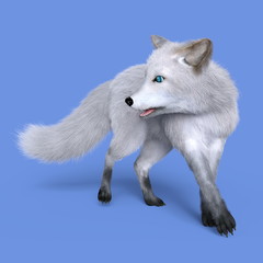 Obraz premium キツネ