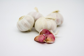 Garlic