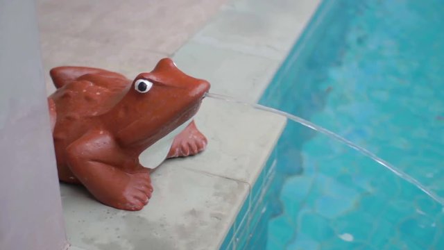 Frog statue with fountain. Pool. Frog statue with fountain which filling a pool.