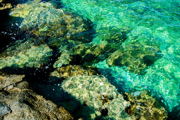 Klares Grünes Wasser an der Küste von Kroatien