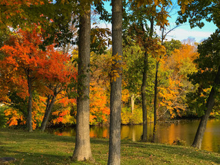 Fototapeta premium Shaker Run