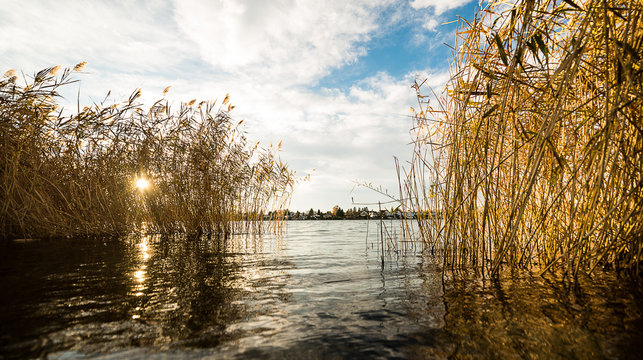 sonne dringt durch schilf an einem Strand am See