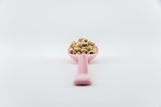 isolate white beans on object
