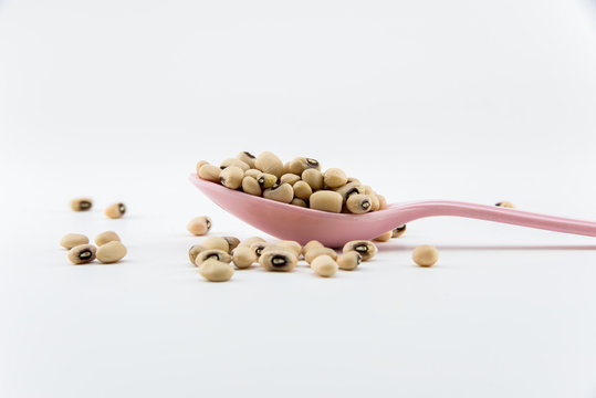 isolate white beans on object