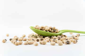 isolate white beans on object