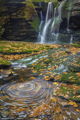 Swirling leaves and waterfall