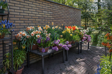 Wall decorated with spring onion flowers.