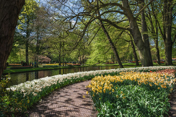 Obraz premium Garden path with a border of flowers