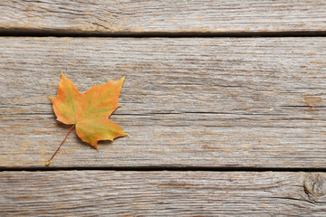 Autumn leaf on grey wooden table