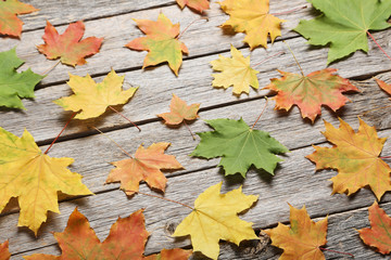 Autumn leafs on grey wooden table