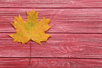 Naklejka na ściany i meble Autumn leaf on red wooden table