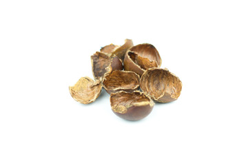 chestnuts shell isolated on white background