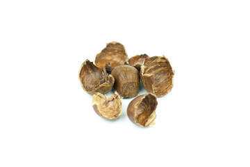 chestnuts shell isolated on white background
