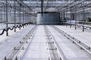 Empty greenhouse with a drip irrigation system in the nursery of plants.