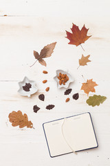 Top view on autumn background: leaves, chocolate, nuts on wooden white board.