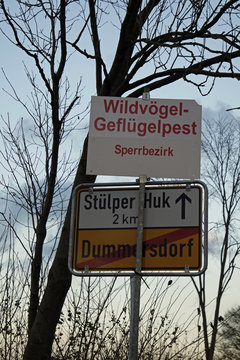 bird influenza outbreak in northern germany