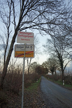 bird deasese in germany
