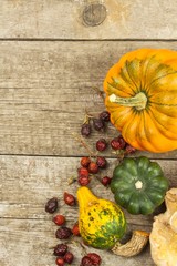 Autumn farm decoration. Harvest pumpkins. Autumn background corner frame with pumpkins and leaves. Advertising on farmers' markets. Place for your text.
