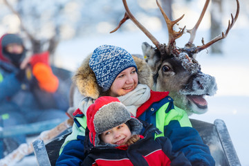 Reindeer safari © TravelPhotoBloggers