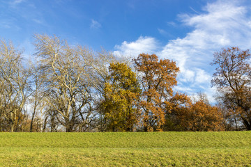 Herbstwald 2