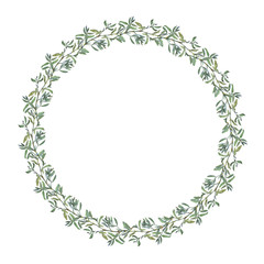 Wreath border frame with summer herbs, meadow flowers. Watercolor hand painting illustration on isolate white background.