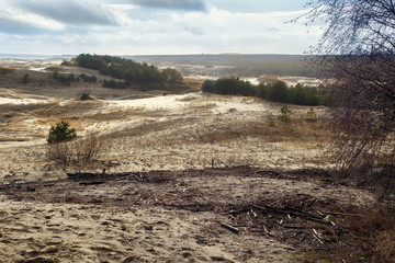 Sand dunes of the russian part Curonian Spit in february. It is a 98 km long curved sand-dune spit that separates the Curonian Lagoon from the Baltic Sea coast. It is a UNESCO World Heritage Site.