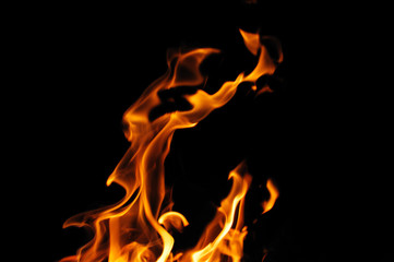 burning fire flame on the black background