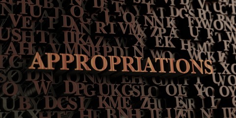 Appropriations - Wooden 3D rendered letters/message.  Can be used for an online banner ad or a print postcard.