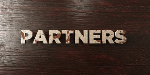 Partners - grungy wooden headline on Maple  - 3D rendered royalty free stock image. This image can be used for an online website banner ad or a print postcard.