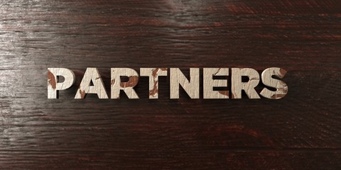 Fototapeta premium Partners - grungy wooden headline on Maple - 3D rendered royalty free stock image. This image can be used for an online website banner ad or a print postcard.