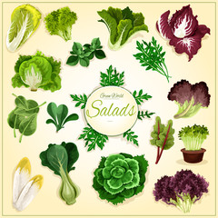 Salad leaf and vegetable greens poster