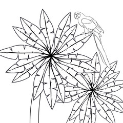 Obraz premium coloring Hawaii palm and parrot Caribbean Gold 