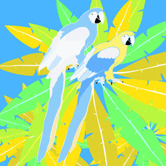 Hawaii palm and parrot Caribbean Gold  illustration