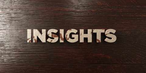 Insights - grungy wooden headline on Maple  - 3D rendered royalty free stock image. This image can be used for an online website banner ad or a print postcard.